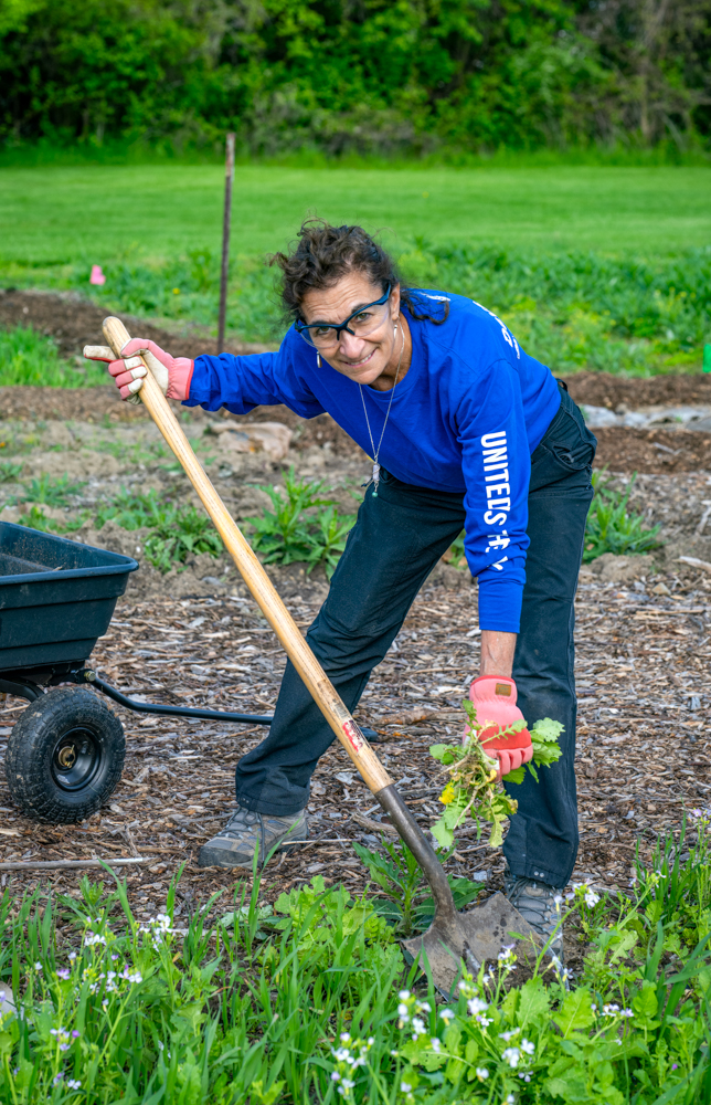 : A woman works in a garden while holding a rake.