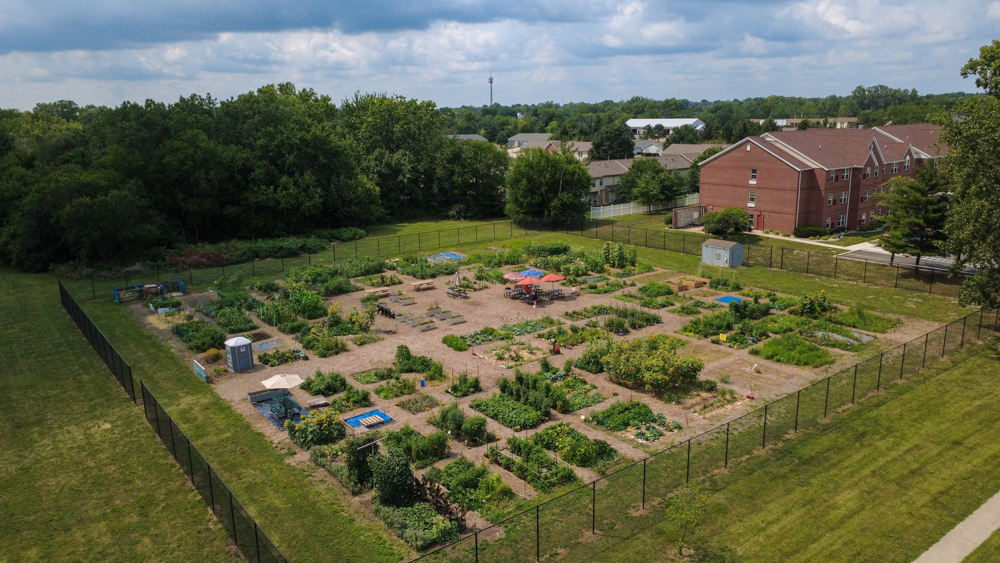 Aerial view of a large community garden with rows of raised beds and green vegetation in Findlay, Ohio, on a sunny summer day