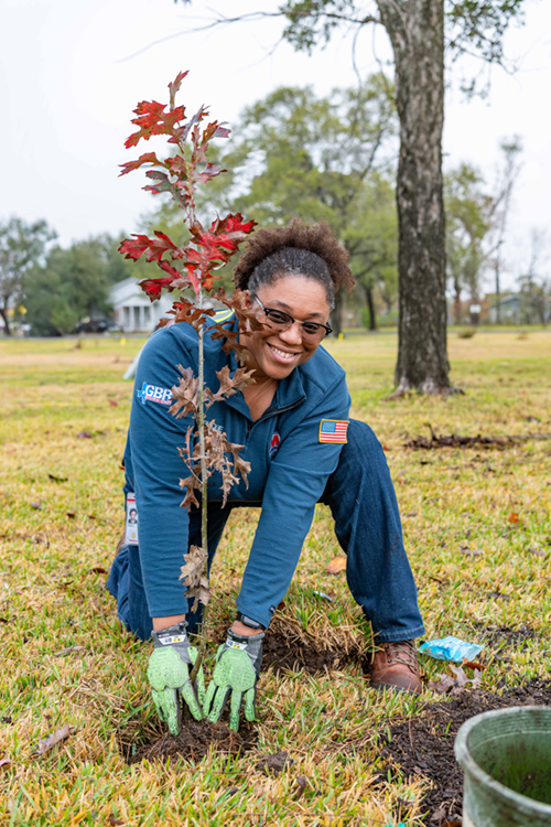 A person plants a tree in an outdoor green space.