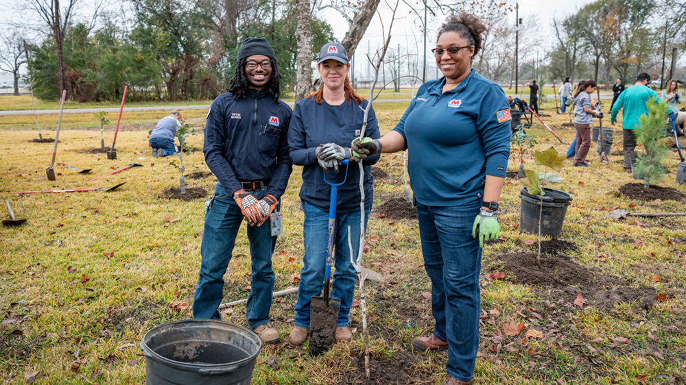 Three employees stand together next to a tree they just planted.