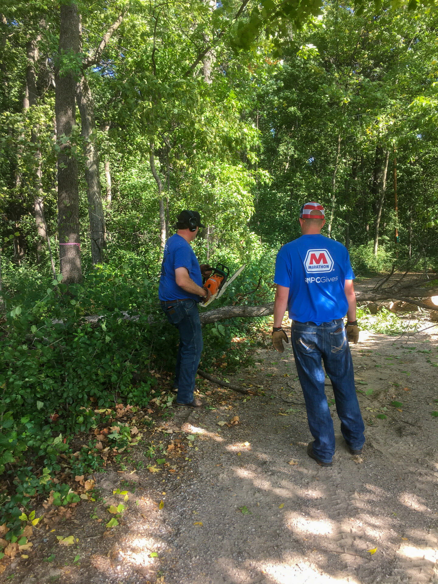 Two people work together to remove a fallen tree from a wooded trail.