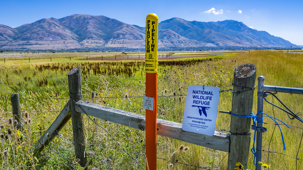 A red and yellow pipeline marker staked in a field of red, green, and brown wildflowers and grass near a mountain range.