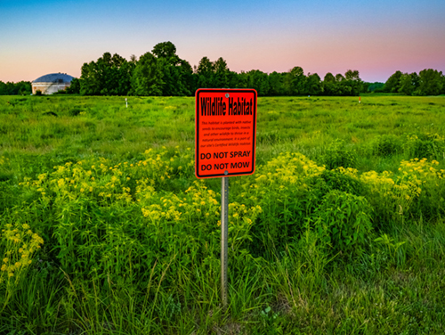 Wildlife habitat sign in meadow with tank in the background Wildlife habitat sign in meadow with tank in the background